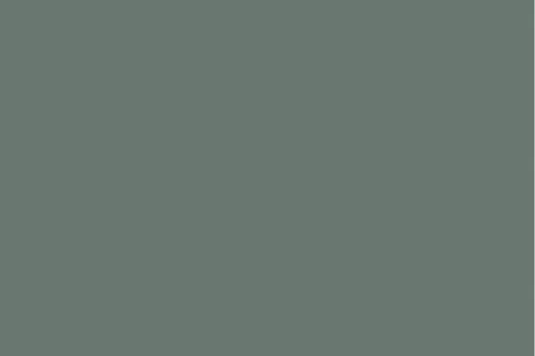 5406VM Forest Green Matte acrylic swatch